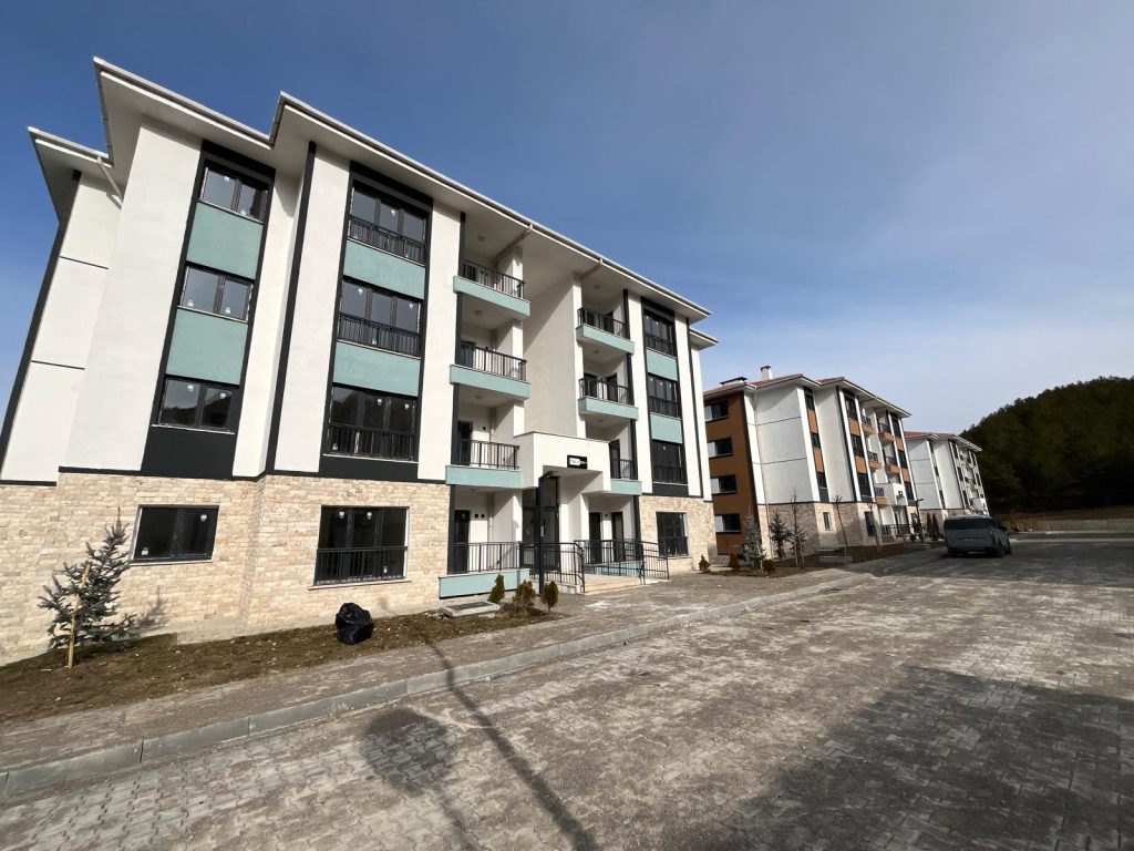 artimuhendislikinsaat-eldivantokikonutlarıdogalgazisi